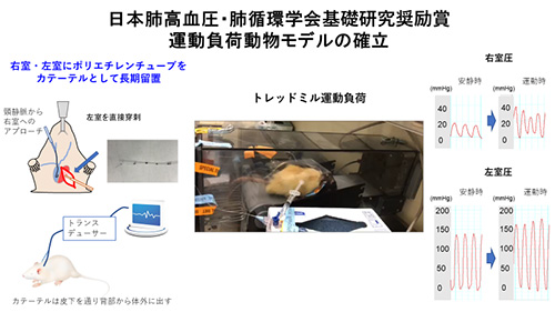 7月2日（土）第7回日本肺高血圧・肺循環学会において、当科の矢尾板信裕病院講師、佐藤大樹病院助教が、それぞれ学会奨励賞を受賞しました。イメージ3