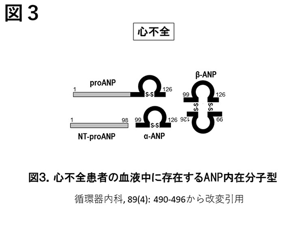 anpbnp3