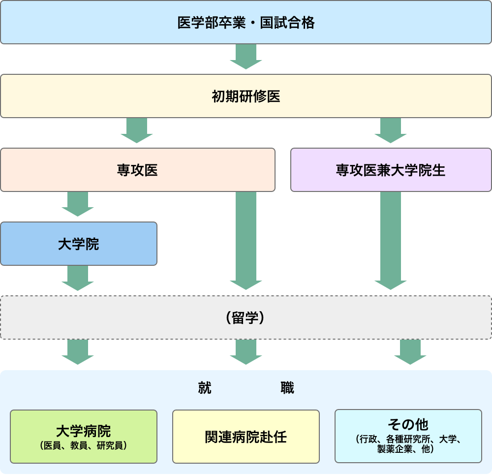 就職までの流れ図